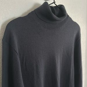 Club Monaco wool turtleneck
